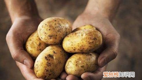 蔬菜也有保质期这样的菜千万别吃