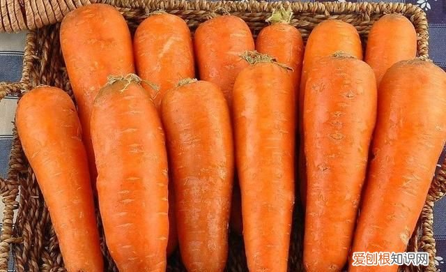 蔬菜也有保质期这样的菜千万别吃