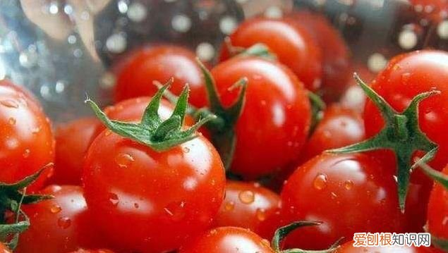 蔬菜也有保质期这样的菜千万别吃