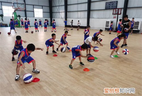 长个子的孩子吃什么有助于长高，长个子的孩子吃什么有助于长高呢