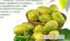 诺丽果诺丽果汁的功效及副作用 诺丽果汁功效