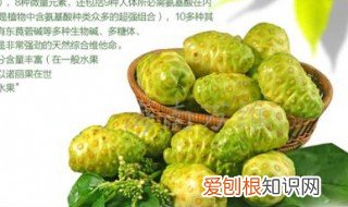 诺丽果诺丽果汁的功效及副作用 诺丽果汁功效