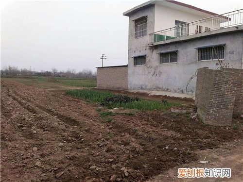 村干部不解决土地纠纷怎么办，村民土地纠纷干部要如何处理
