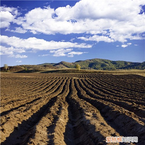 村干部不解决土地纠纷怎么办，村民土地纠纷干部要如何处理
