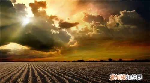 国家所有土地的所有权归谁所有，国家所有的土地权归什么所有