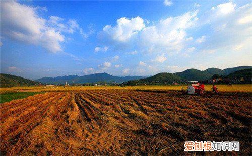 国家所有土地的所有权归谁所有，国家所有的土地权归什么所有