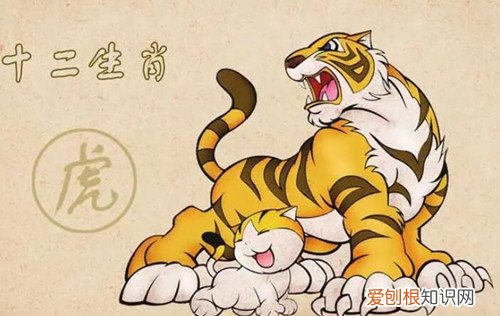 86年属虎女的2022年怎么样，1986年的女虎在2022年怎么样