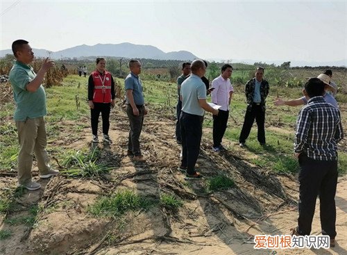 土地纠纷找哪个部门，土地纠纷找哪个部门调解
