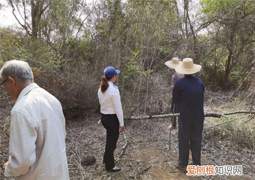 土地纠纷找哪个部门，土地纠纷找哪个部门调解