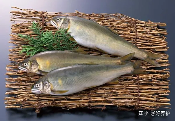 花店的花在家怎么养，花市老板绝不外传的7个养花绝招!