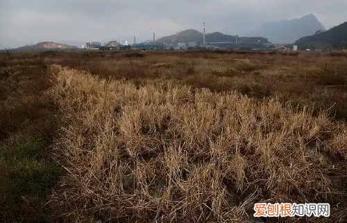 2028年土地到期后怎么调整，2023年土地到期怎么办