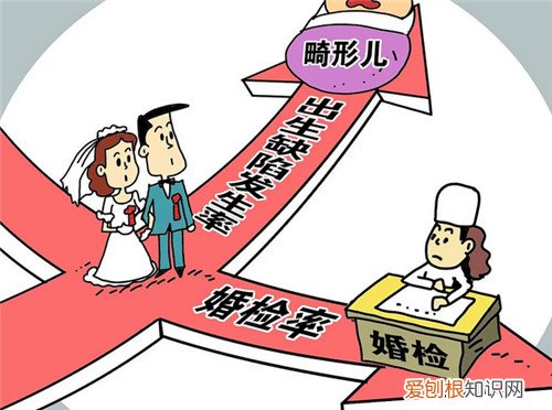 婚检什么情况不能结婚,婚检什么情况不能结婚生子
