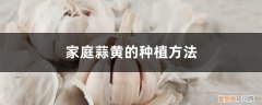 自己家怎样种蒜黄 在家怎么种蒜黄，家里怎么种蒜黄长得快