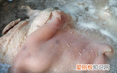 肘子家常的做法，肘子做法大全菜谱