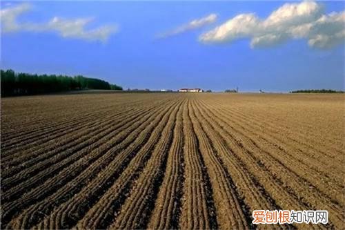 土地确权人死后土地归谁所有，土地确权后土地所有权归谁