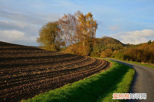 土地确权人死后土地归谁所有，土地确权后土地所有权归谁
