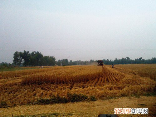 土地确权人死后土地归谁所有，土地确权后土地所有权归谁
