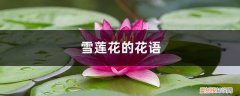 雪花莲的寓意 雪莲花的花语，有什么传说