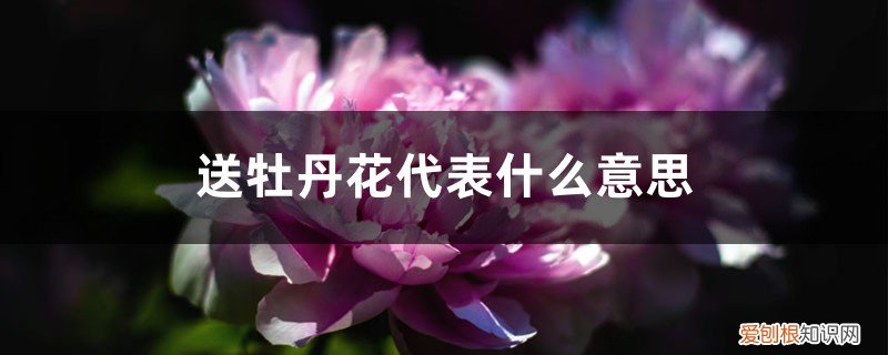 送花送牡丹是什么意思 送牡丹花代表什么意思