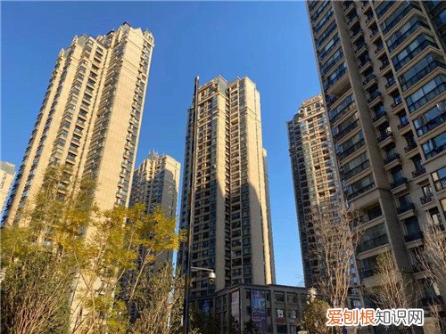 小区物业服务包括哪些内容，小区物业服务内容都是什么
