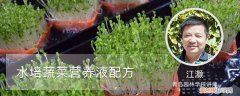 水培蔬菜营养液配方视频 水培蔬菜营养液配方