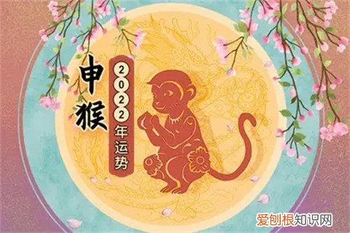 属猴的幸运色是什么颜色，2022年属猴的幸运色是什么颜色