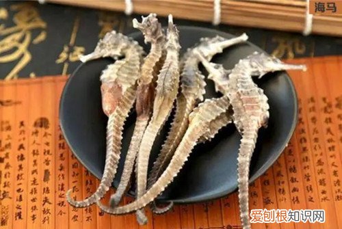 海马炖什么好小孩长高，海马炖什么好小孩长高可以吃菜