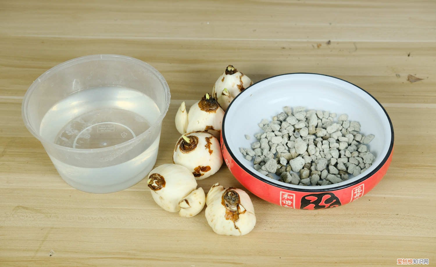 水仙花怎么养好活 水仙花怎么养好
