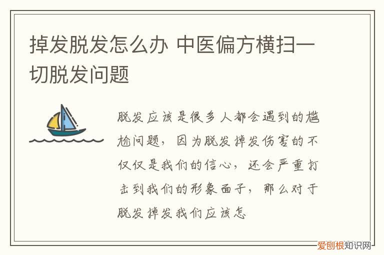 掉发脱发怎么办 中医偏方横扫一切脱发问题