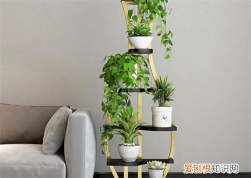 怎样去除甲醛最有效的室内，室内怎么除甲醛最有效