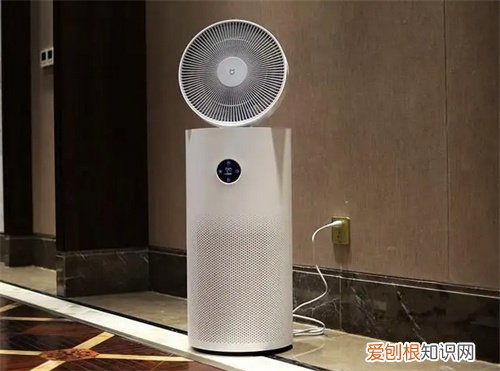 怎样去除甲醛最有效的室内，室内怎么除甲醛最有效