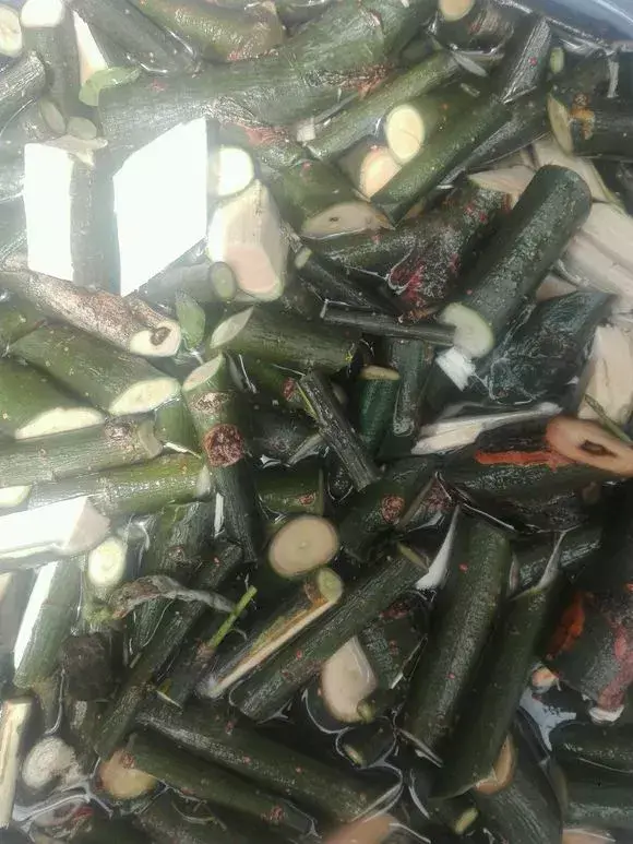 花的叶子蔫了还能救活吗，花盆里浇1勺，再萎蔫难活的花，7天后叶绿根壮，重新爆满盆