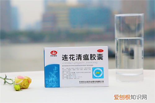 怀孕感冒了怎么办，猫咪怀孕感冒了怎么办