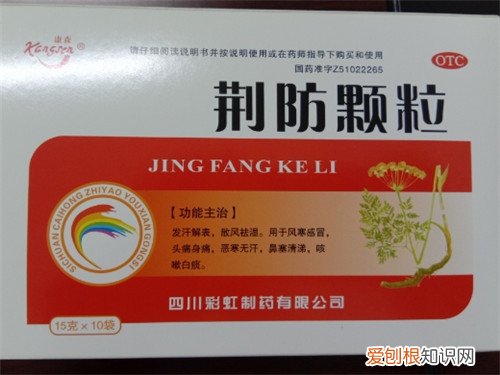 怀孕感冒了怎么办，猫咪怀孕感冒了怎么办