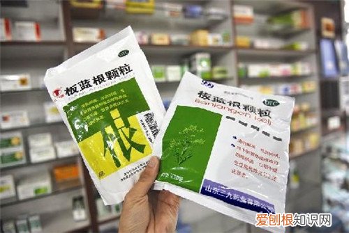 怀孕感冒了怎么办，猫咪怀孕感冒了怎么办