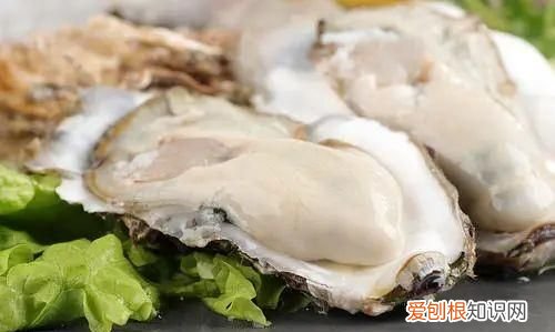生蚝怎么判断能活多久,新鲜生蚝海螺怎么保存