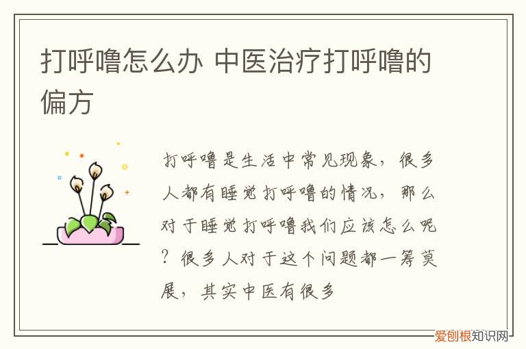 打呼噜怎么办 中医治疗打呼噜的偏方