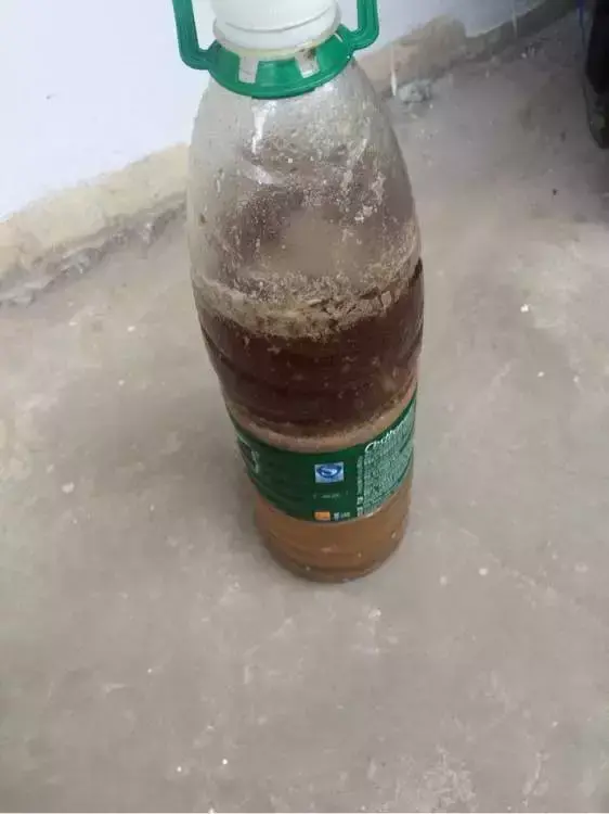 油可以倒在花盆里吗，老花农不小心透露，花盆里倒3滴油，1个月爆盆，全年不用施肥