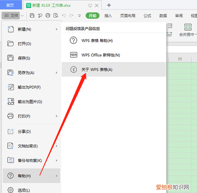 excel表格是哪个版本怎么看