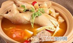 酸萝卜老鸭汤的功效与作用毛哥 酸萝卜老鸭汤的功效与作用