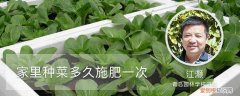 种菜一般多久施一次肥 家里种菜多久施肥一次