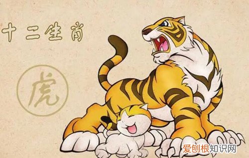 2022年虎本命年的大忌有哪些,2022属虎本命年的大忌