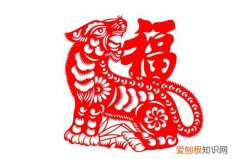 2022年虎本命年的大忌有哪些，2022属虎本命年的大忌