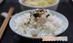 减肥主食到底吃不吃肉 减肥主食到底吃不吃