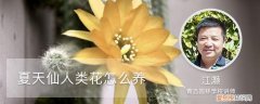 水仙花冬天过了夏天可以养吗 夏天仙人类花怎么养