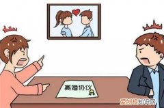 离婚起诉书怎么写，离婚起诉书怎么写才有利于女方胜诉
