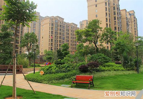 北京乐乎公寓为啥便宜，北京乐乎公寓为啥便宜很多
