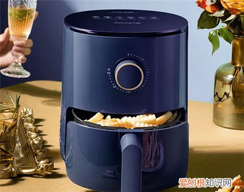 空气炸锅和烤箱哪个更适合家用,空气炸锅和烤箱哪个更适合家用贴吧