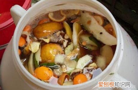 自制花肥发臭怎么办，这5种自制花肥方法，家里人再也不会嫌臭啦！