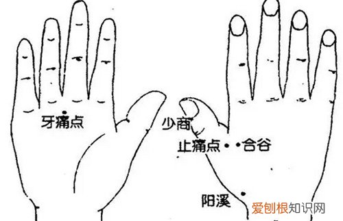 牙疼怎么缓解,牙疼怎么缓解按摩手法